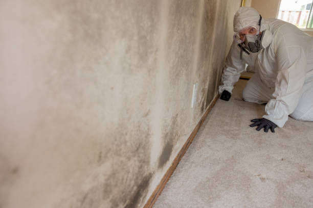 Best Mold Prevention Services  in Valley Center, KS